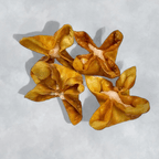 Best 芝士云吞 Cheese Crabmeat Fried Wonton in Baltimore, MD